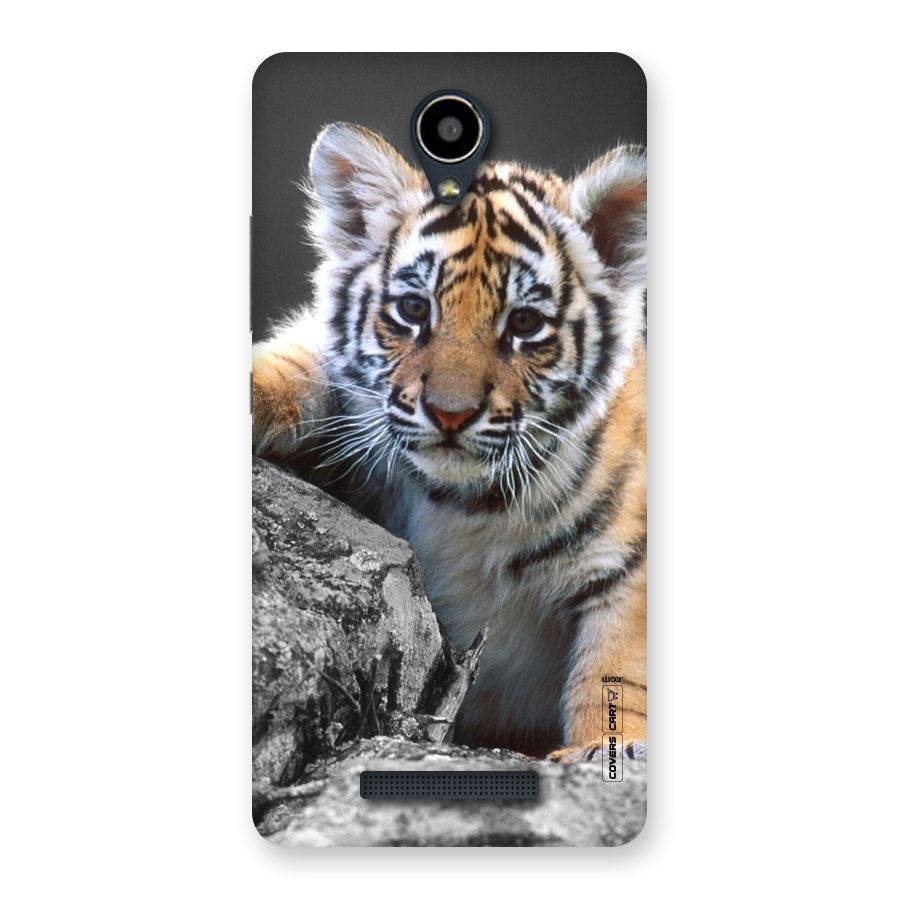 Animal Beauty Back Case for Redmi Note 2
