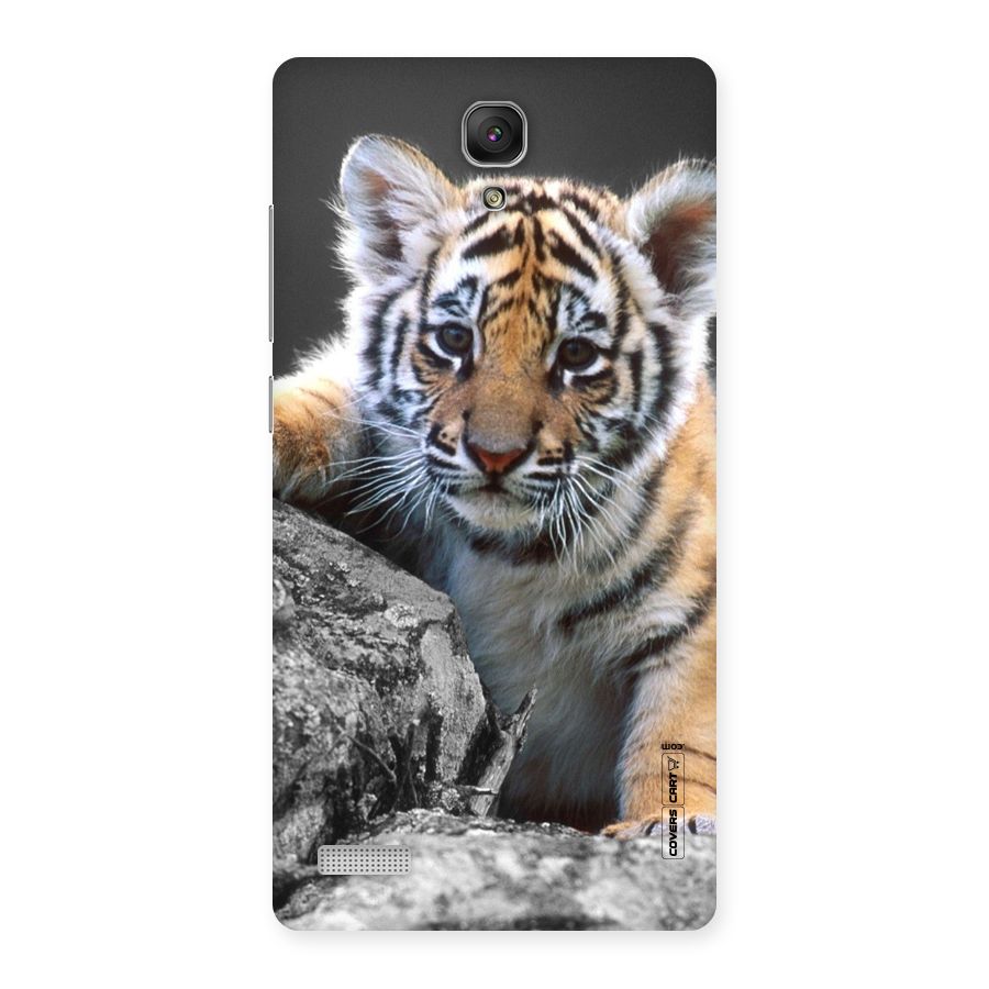 Animal Beauty Back Case for Redmi Note Prime