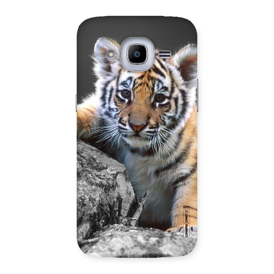 Animal Beauty Back Case for Samsung Galaxy J2 2016