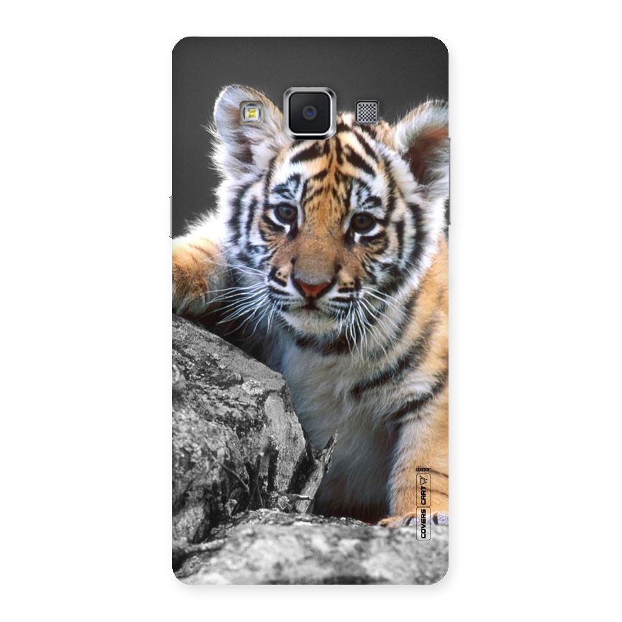 Animal Beauty Back Case for Samsung Galaxy A5