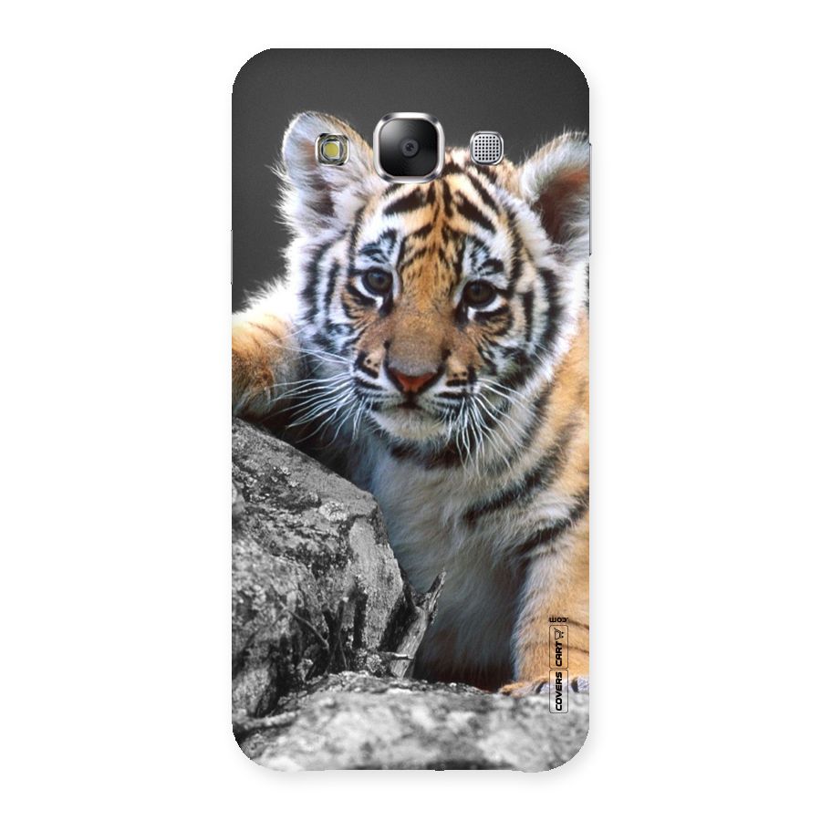 Animal Beauty Back Case for Samsung Galaxy E5