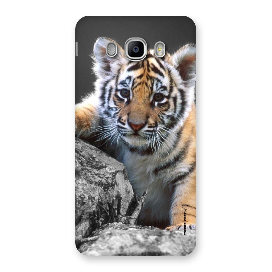 Animal Beauty Back Case for Samsung Galaxy J5 2016
