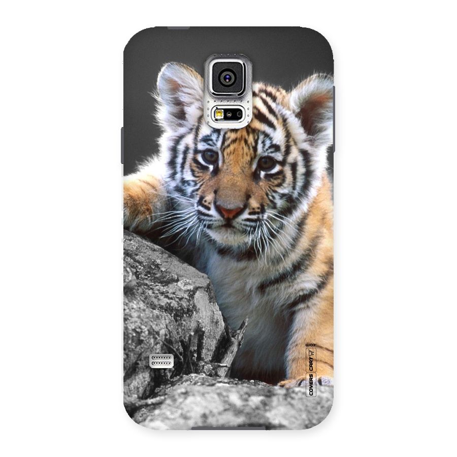 Animal Beauty Back Case for Samsung Galaxy S5