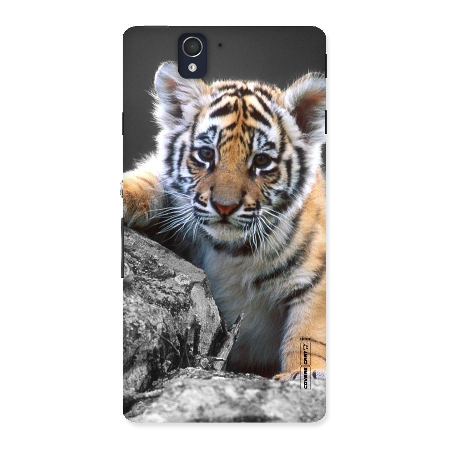 Animal Beauty Back Case for Sony Xperia Z