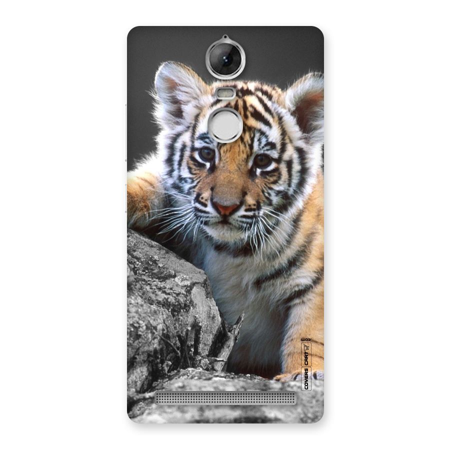 Animal Beauty Back Case for Vibe K5 Note