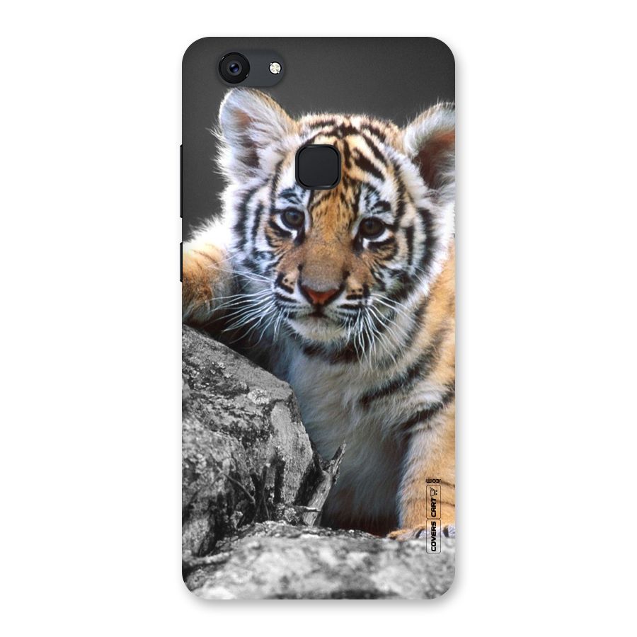 Animal Beauty Back Case for Vivo V7 Plus