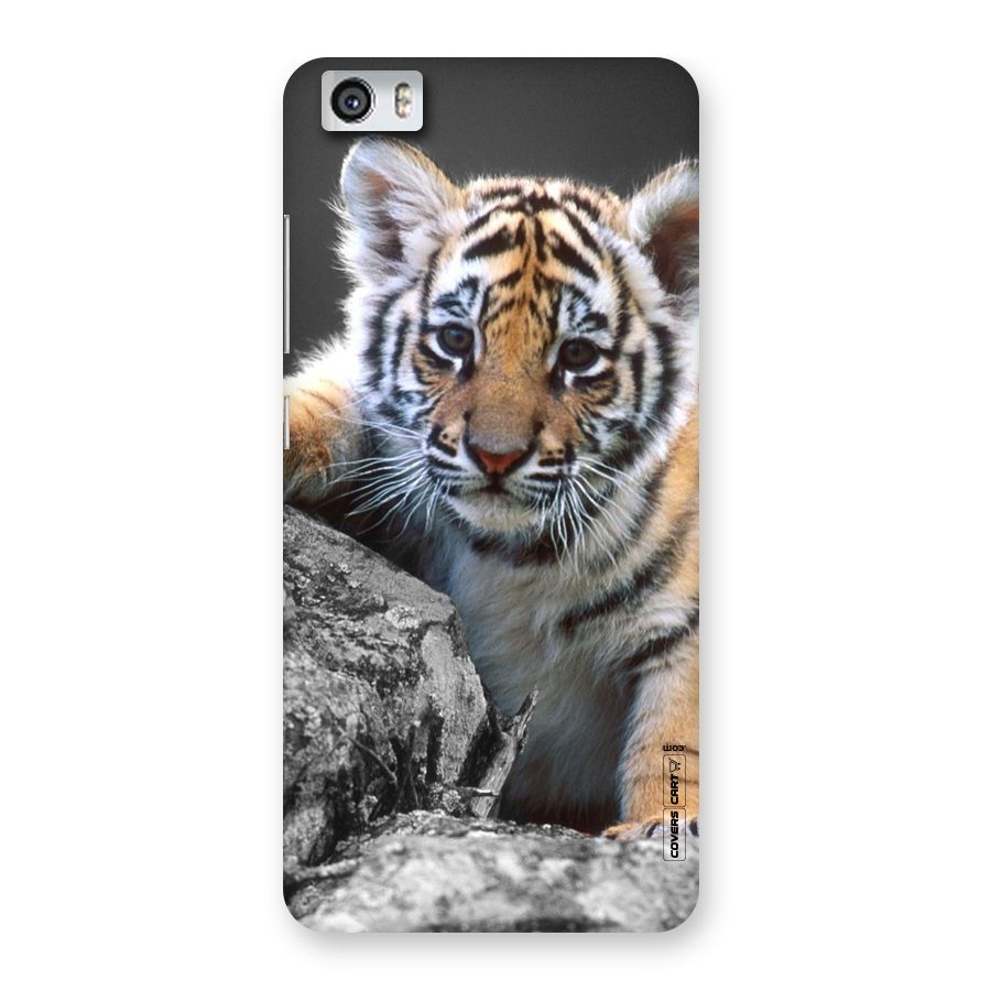 Animal Beauty Back Case for Xiaomi Redmi Mi5