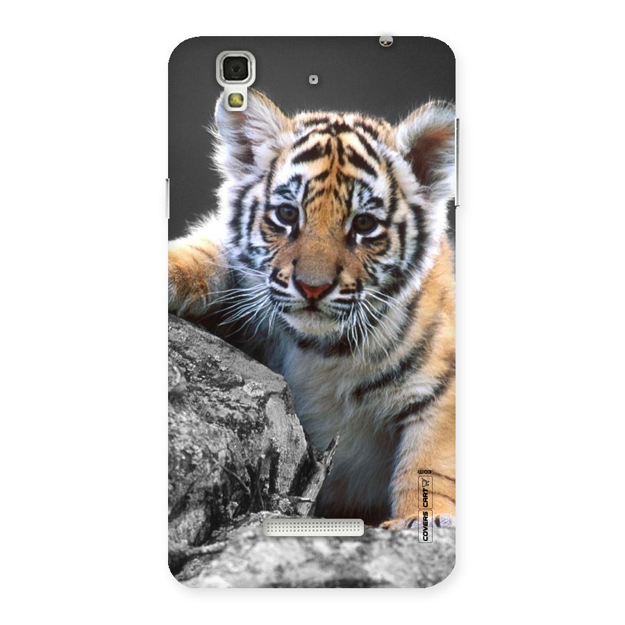 Animal Beauty Back Case for YU Yureka Plus