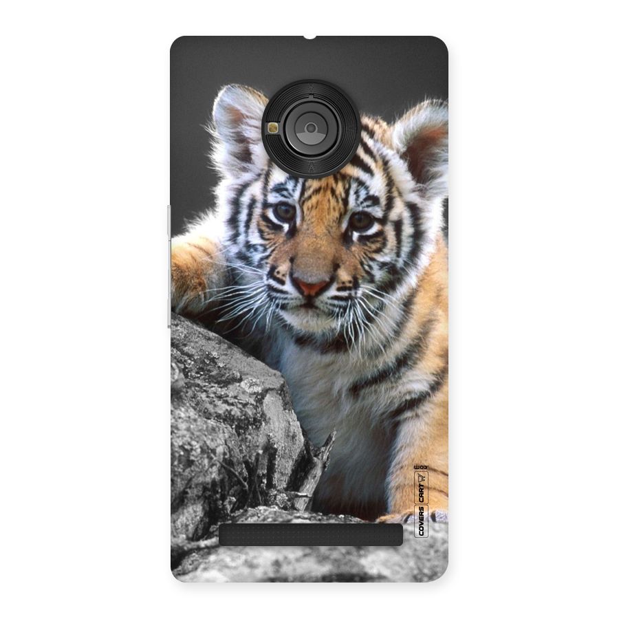 Animal Beauty Back Case for Yu Yunique