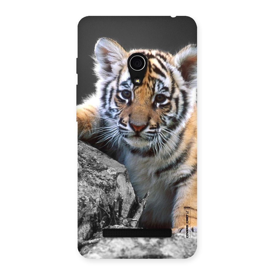 Animal Beauty Back Case for Zenfone 5