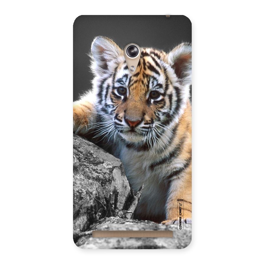 Animal Beauty Back Case for Zenfone 6
