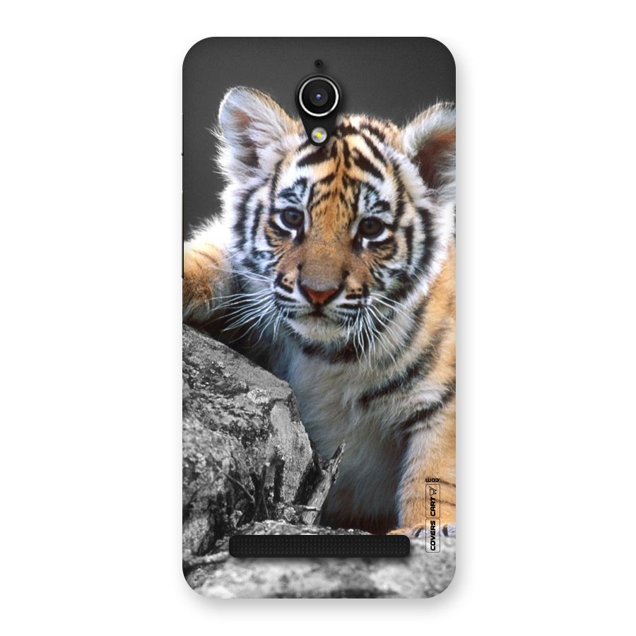 Animal Beauty Back Case for Zenfone Go
