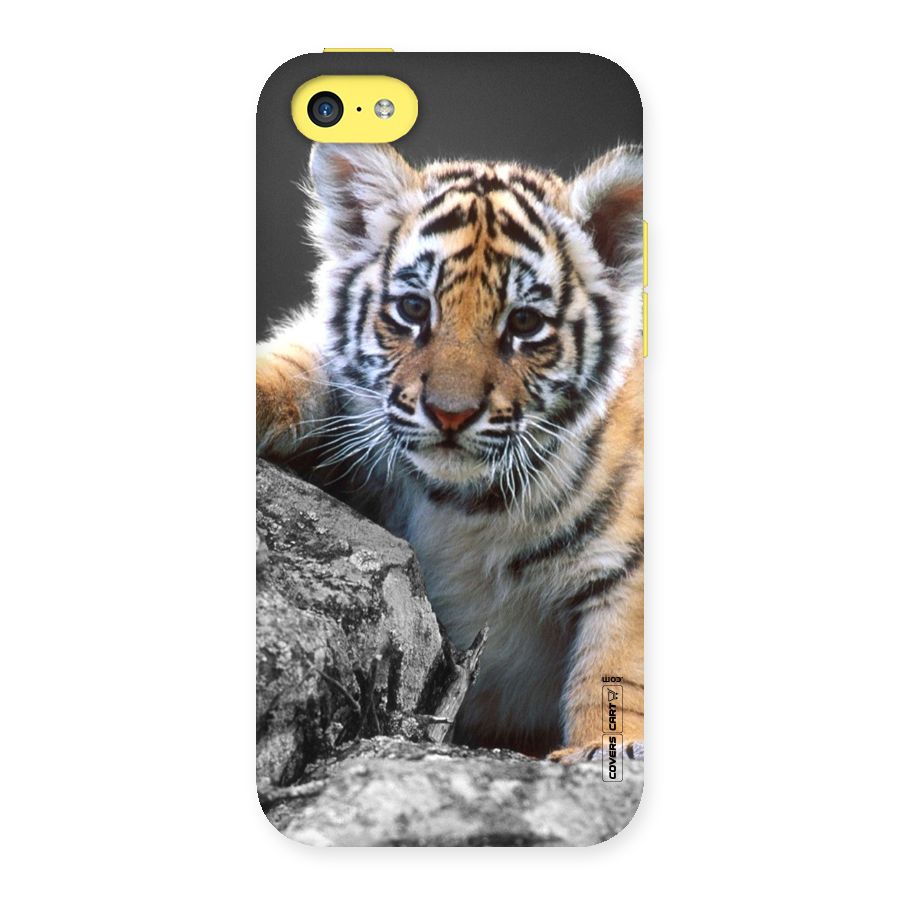 Animal Beauty Back Case for iPhone 5C