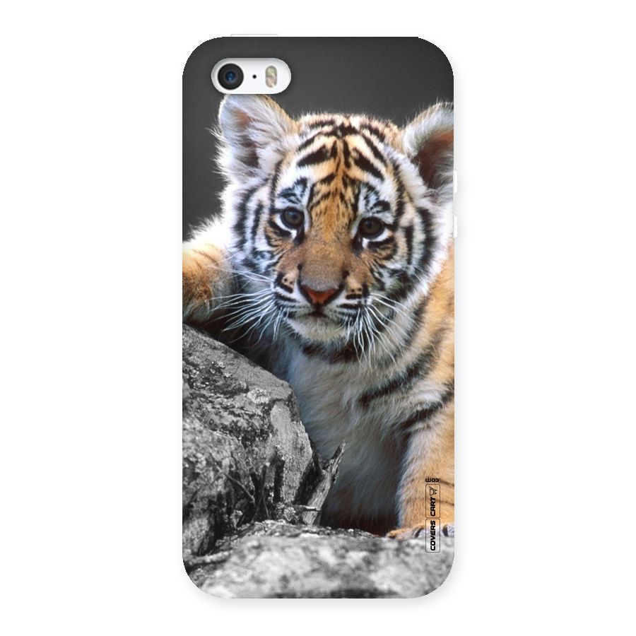 Animal Beauty Back Case for iPhone 5 5S