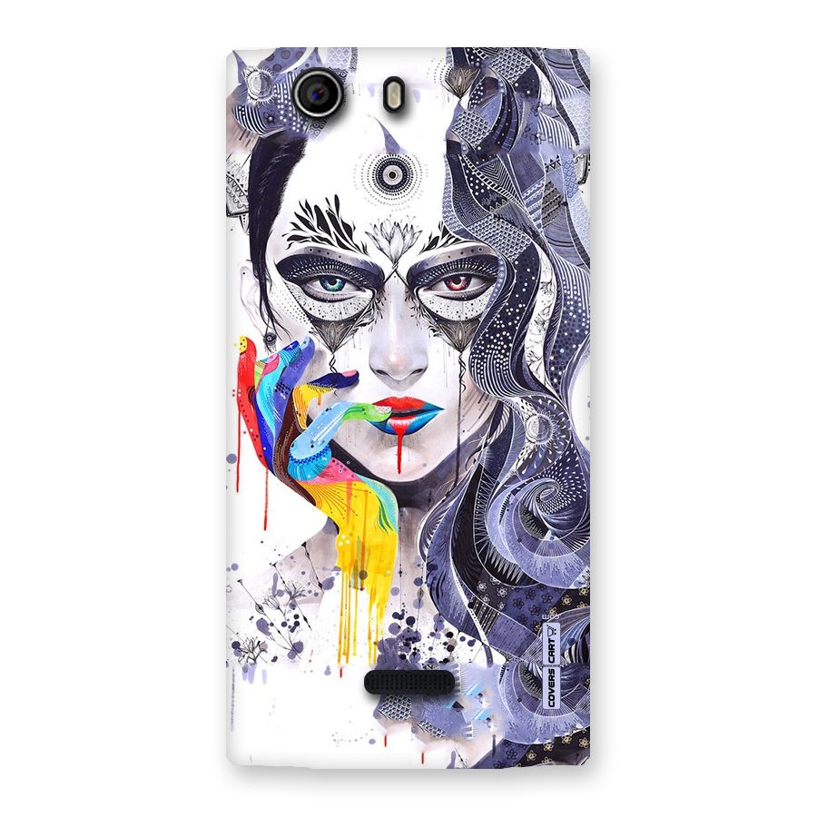 Astonishing Artwork Back Case for Canvas Nitro 2 E311