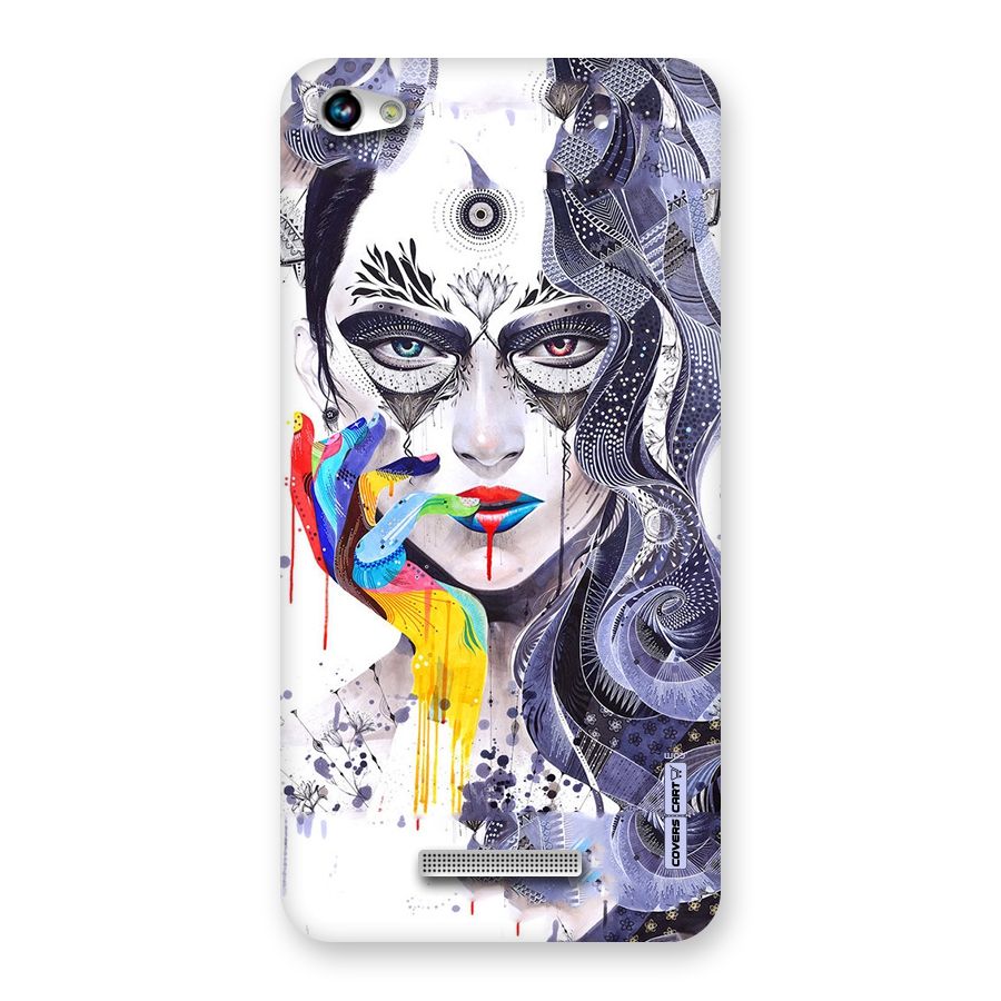Astonishing Artwork Back Case for Micromax Hue 2