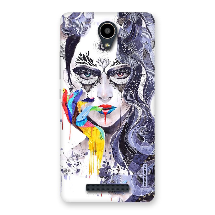 Astonishing Artwork Back Case for Redmi Note 2
