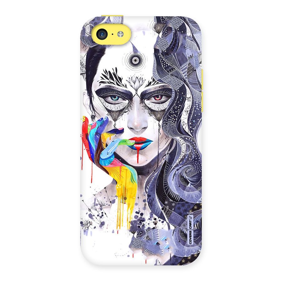 Astonishing Artwork Back Case for iPhone 5C