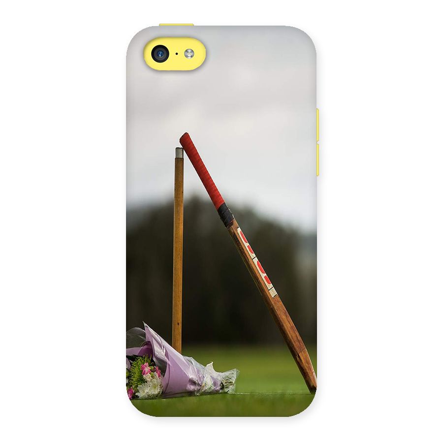 Bat Wicket Back Case for iPhone 5C