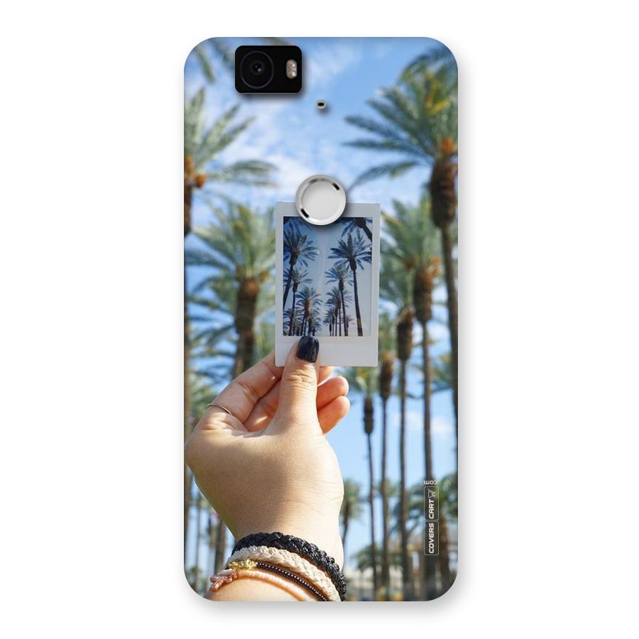 Beach Trees Back Case for Google Nexus-6P