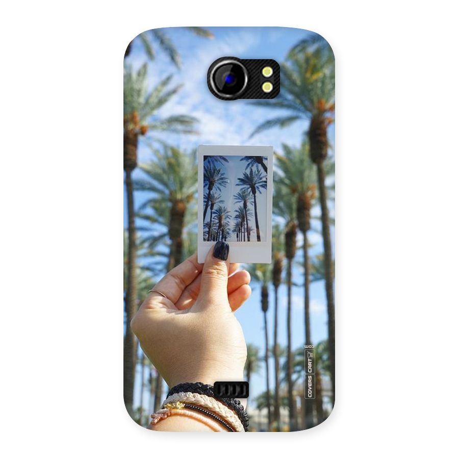 Beach Trees Back Case for Micromax Canvas 2 A110