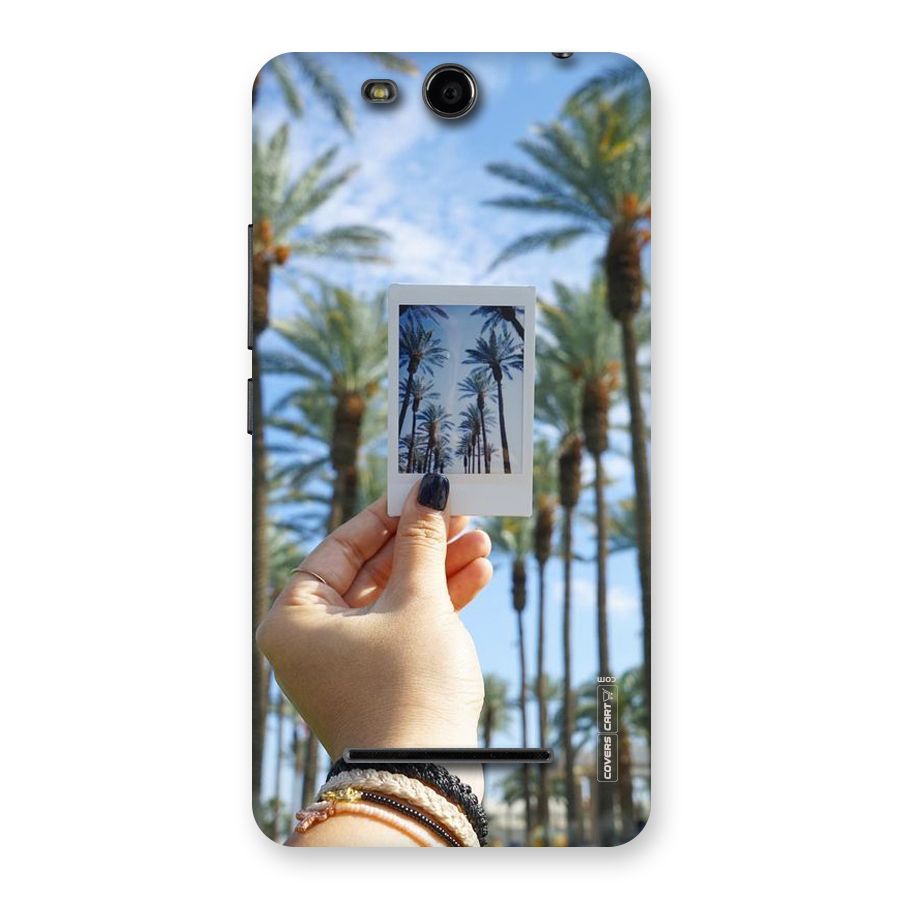 Beach Trees Back Case for Micromax Canvas Juice 3 Q392