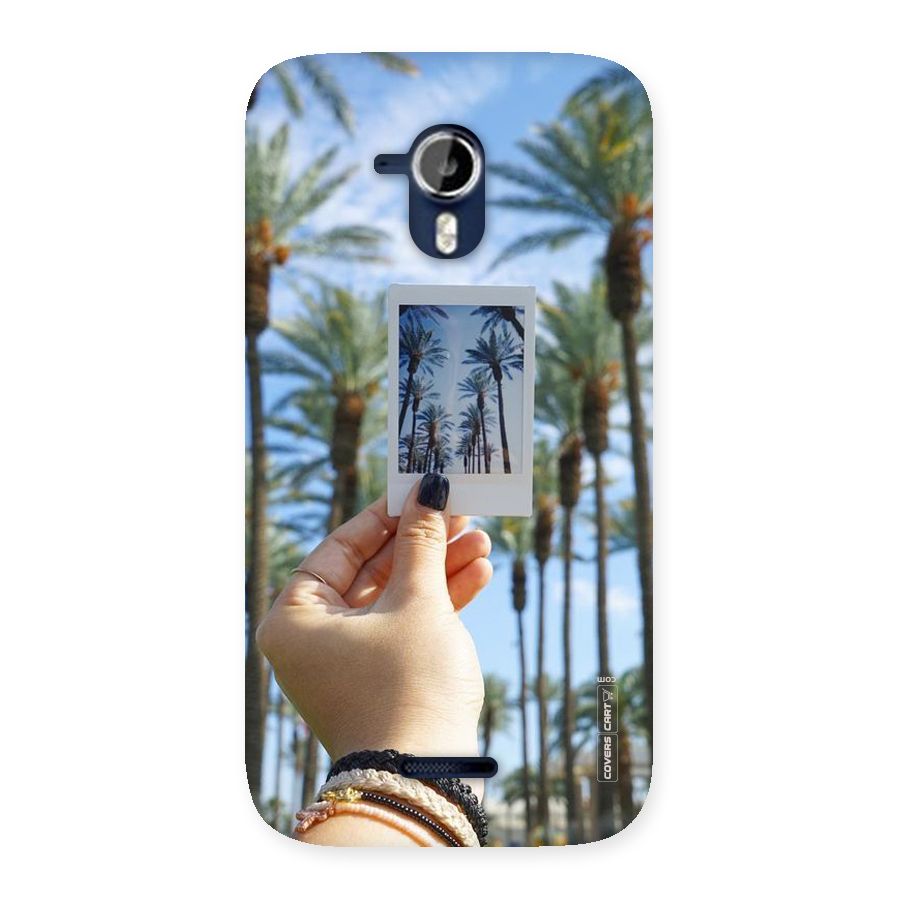 Beach Trees Back Case for Micromax Canvas Magnus A117
