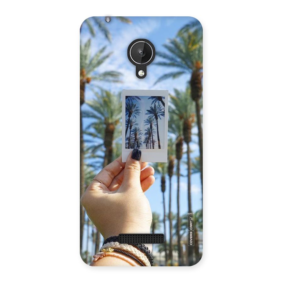 Beach Trees Back Case for Micromax Canvas Spark Q380