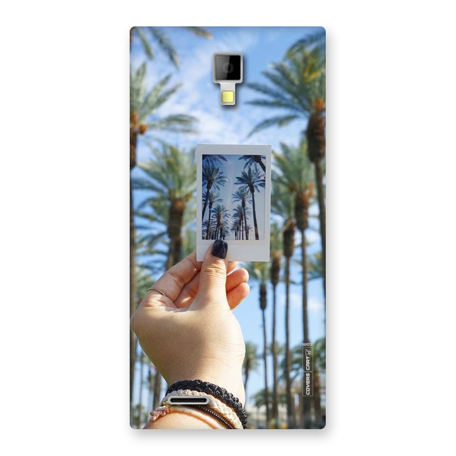 Beach Trees Back Case for Micromax Canvas Xpress A99
