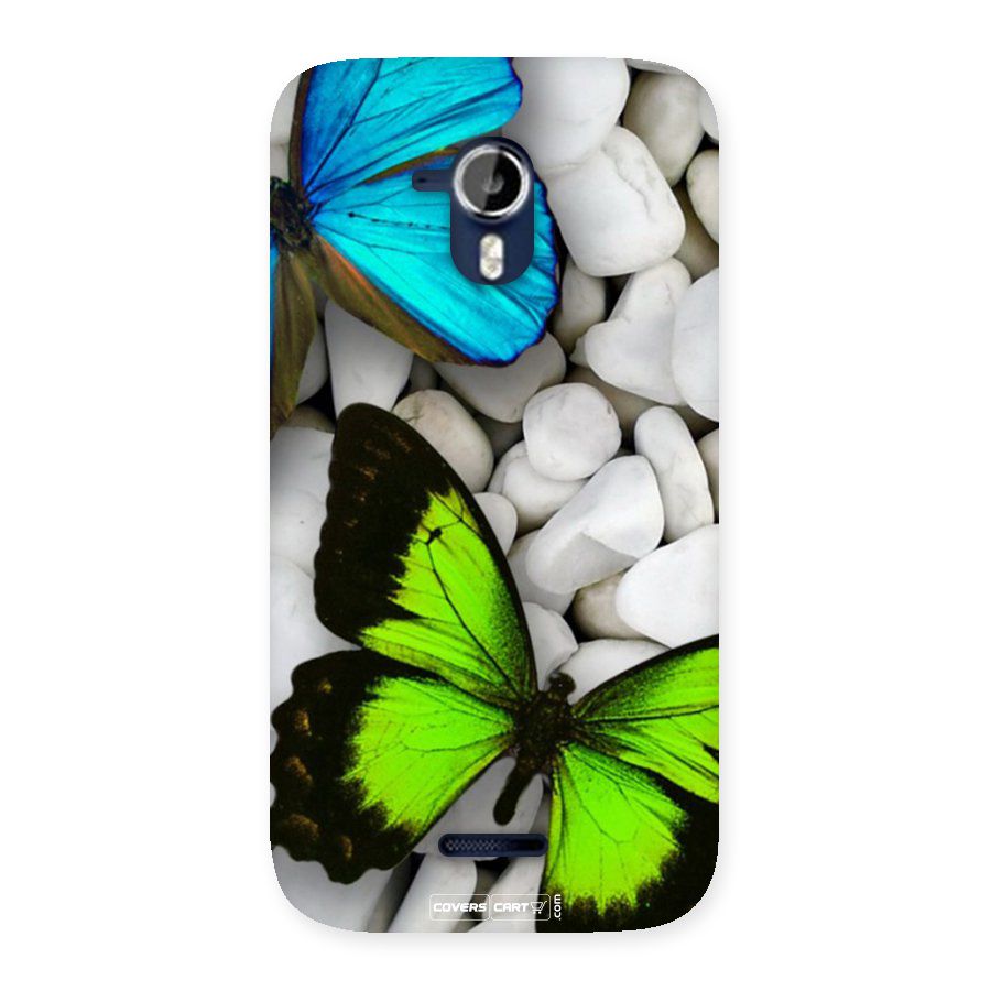 Beautiful Butterflies Back Case for Micromax Canvas Magnus A117