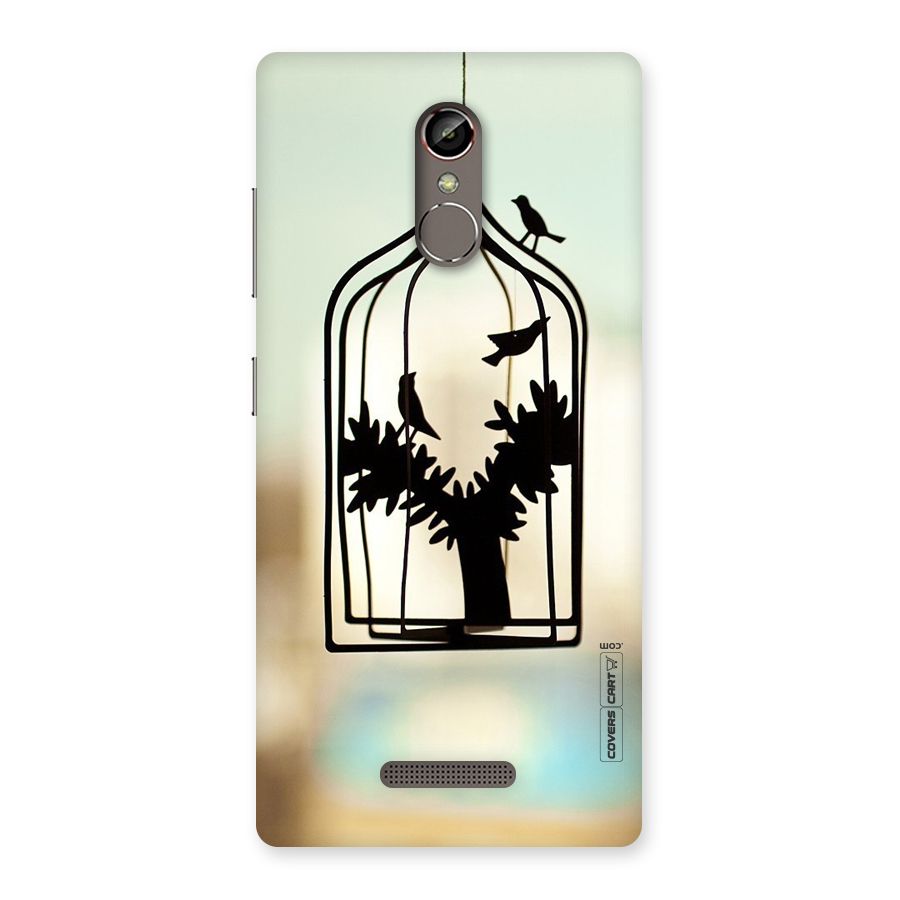 Beautiful Pegion Cage Back Case for Gionee S6s