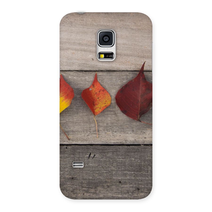 Beautiful Wood Leafs Back Case for Galaxy S5 Mini