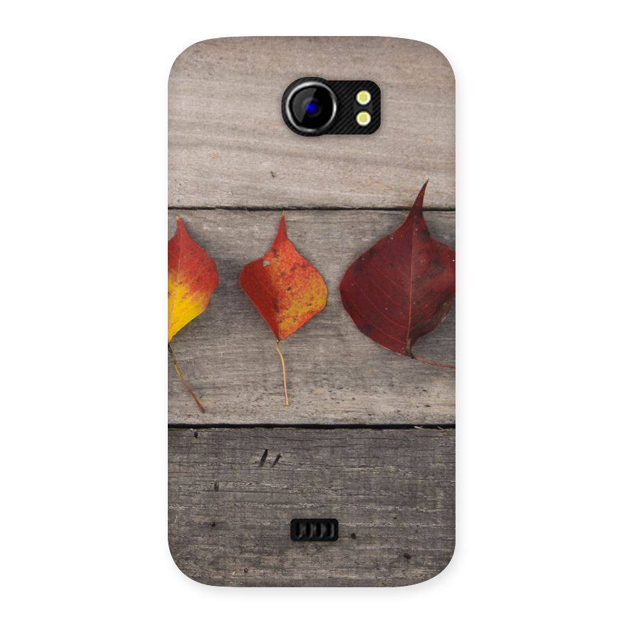 Beautiful Wood Leafs Back Case for Micromax Canvas 2 A110