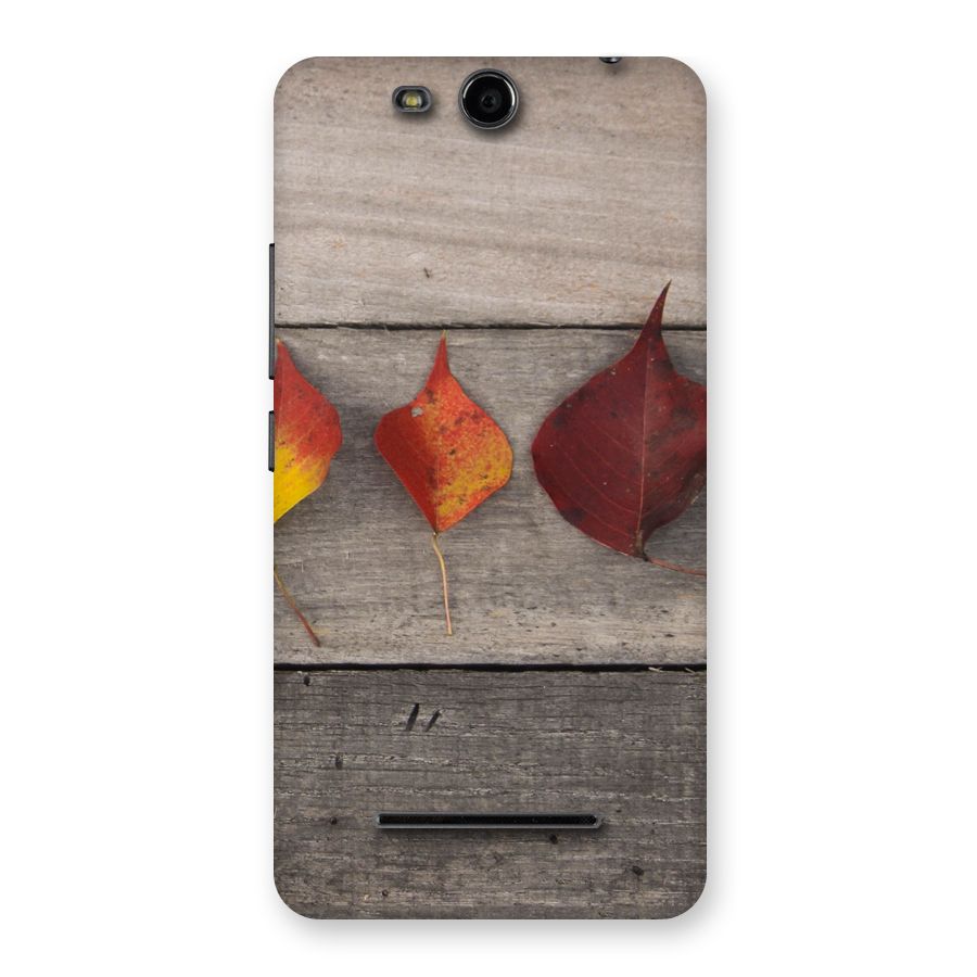 Beautiful Wood Leafs Back Case for Micromax Canvas Juice 3 Q392