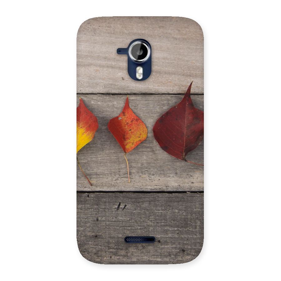 Beautiful Wood Leafs Back Case for Micromax Canvas Magnus A117
