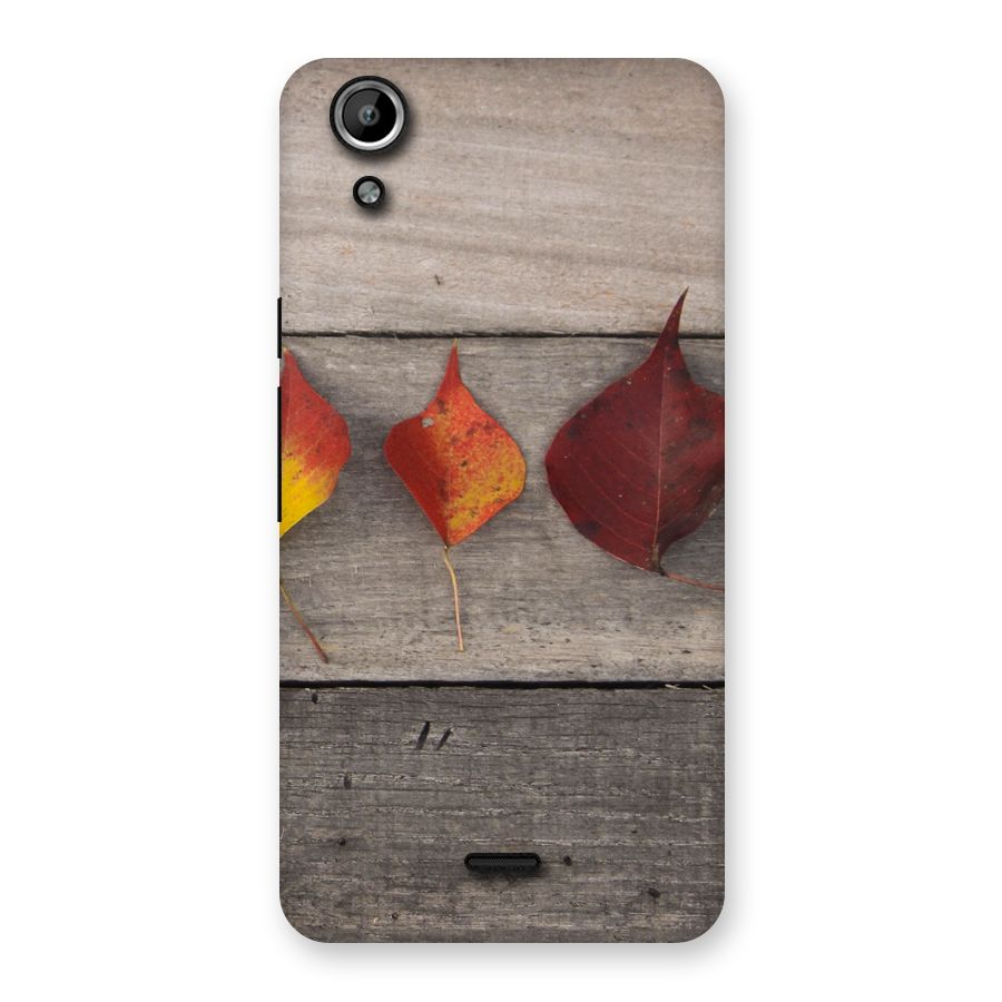 Beautiful Wood Leafs Back Case for Micromax Canvas Selfie Lens Q345