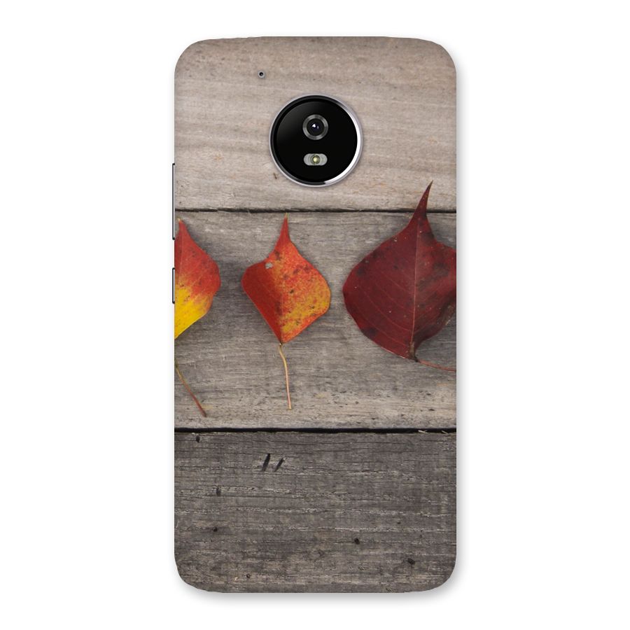 Beautiful Wood Leafs Back Case for Moto G5