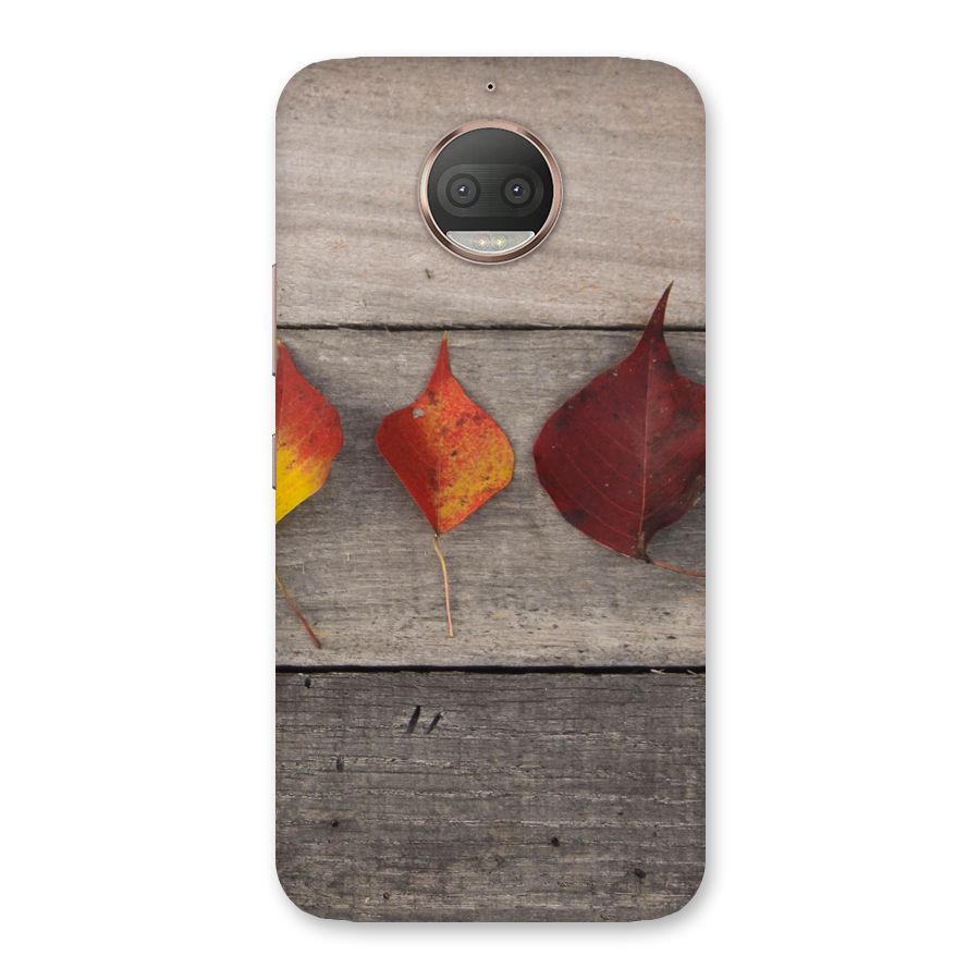Beautiful Wood Leafs Back Case for Moto G5s Plus