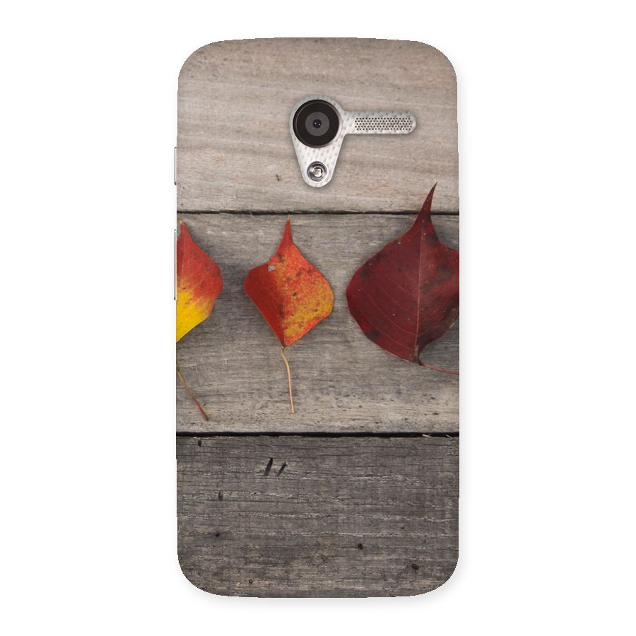 Beautiful Wood Leafs Back Case for Moto X