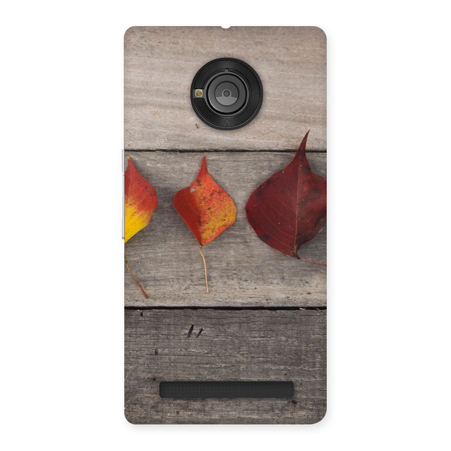 Beautiful Wood Leafs Back Case for Yu Yuphoria