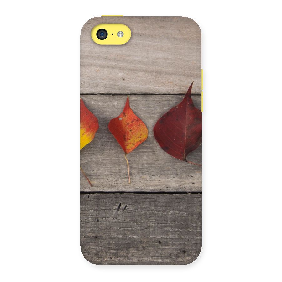 Beautiful Wood Leafs Back Case for iPhone 5C