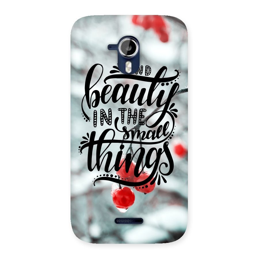 Beauty in Small Things Back Case for Micromax Canvas Magnus A117
