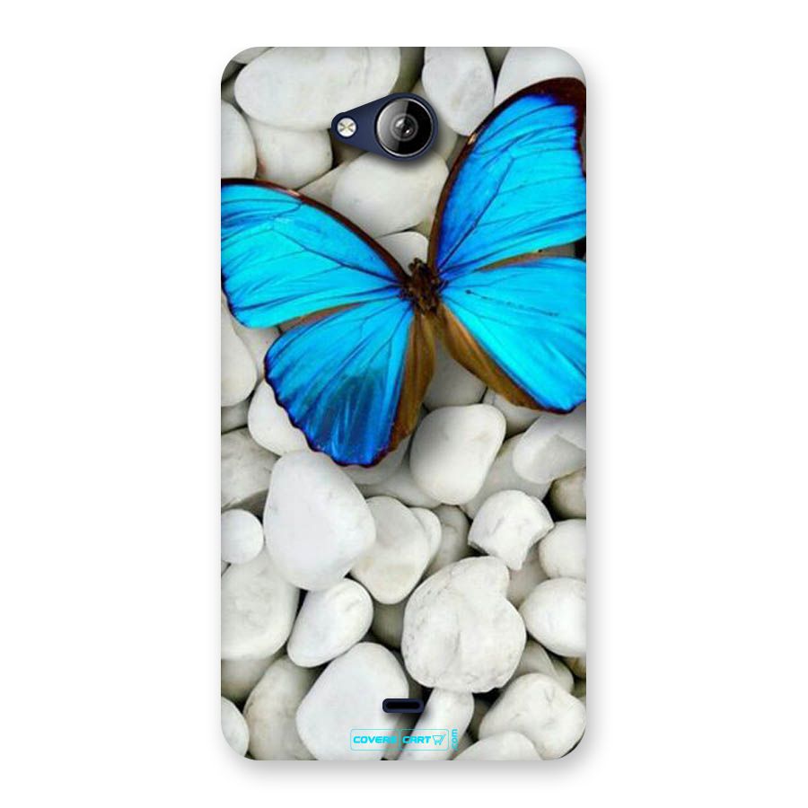 Blue Butterfly Back Case for Canvas Play Q355