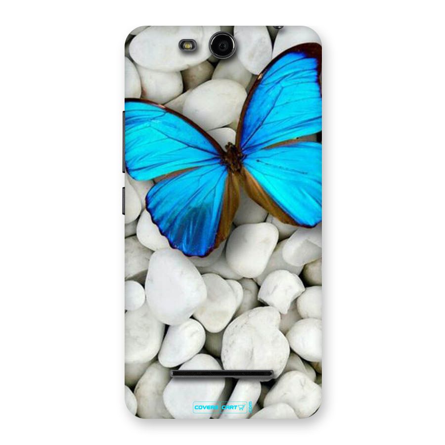 Blue Butterfly Back Case for Micromax Canvas Juice 3 Q392