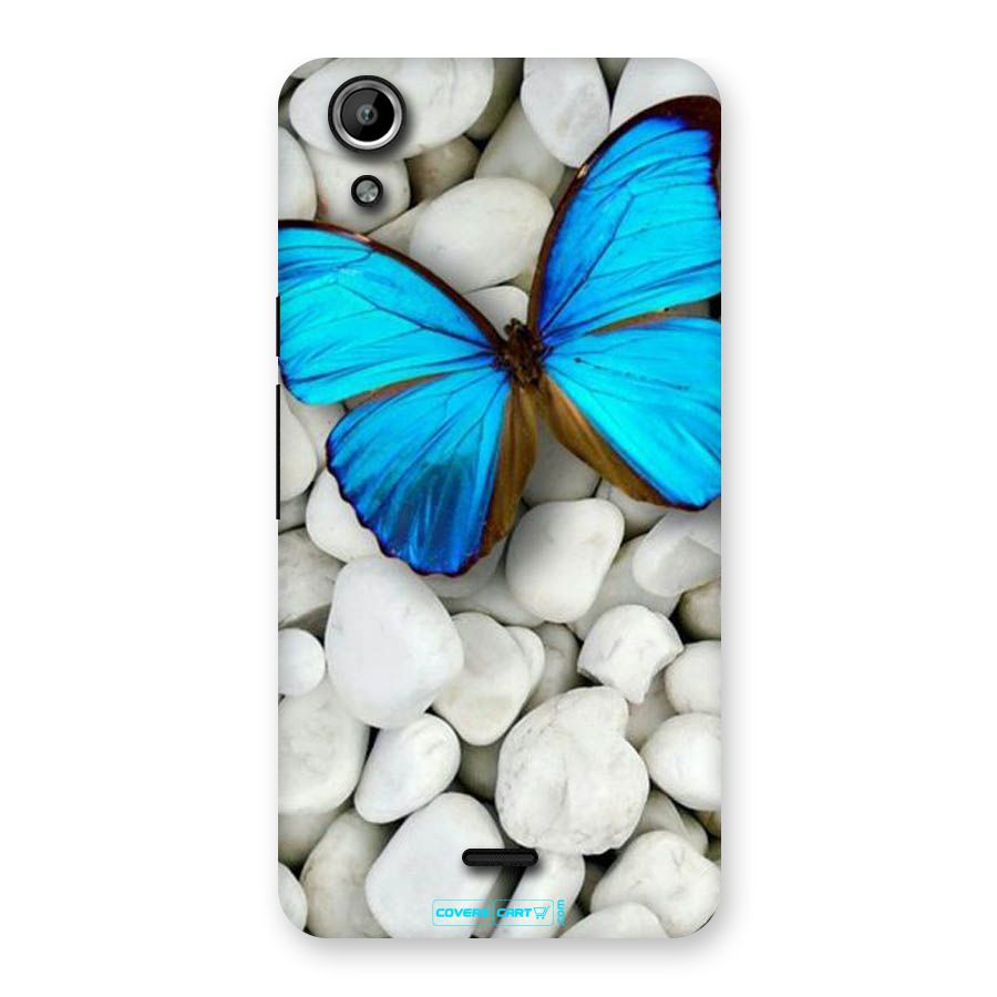 Blue Butterfly Back Case for Micromax Canvas Selfie Lens Q345