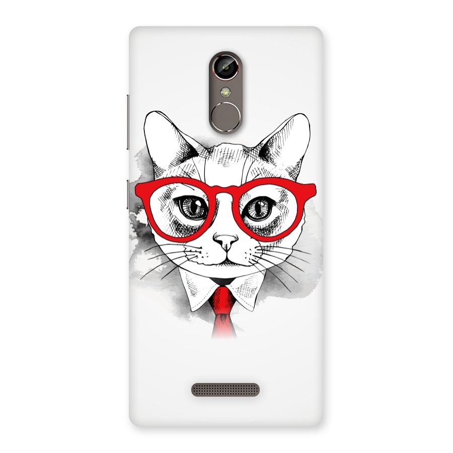 Business Cat Back Case for Gionee S6s