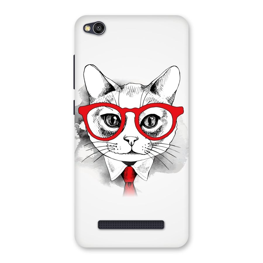 Business Cat Back Case for Redmi 4A
