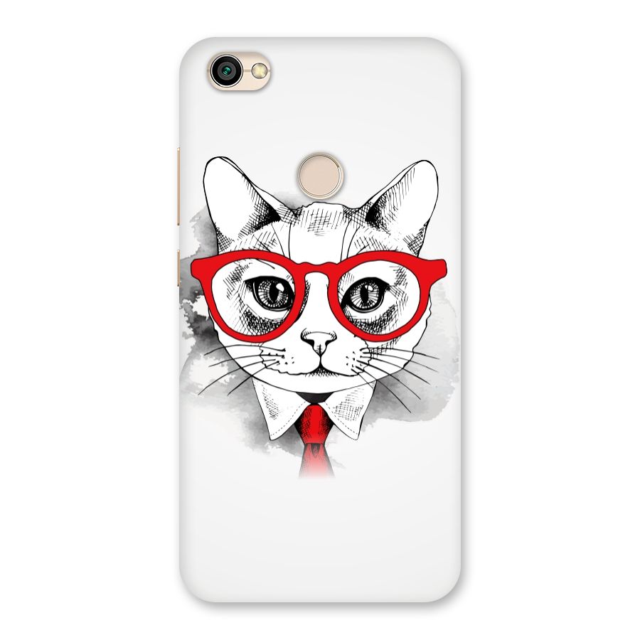 Business Cat Back Case for Redmi Y1 2017