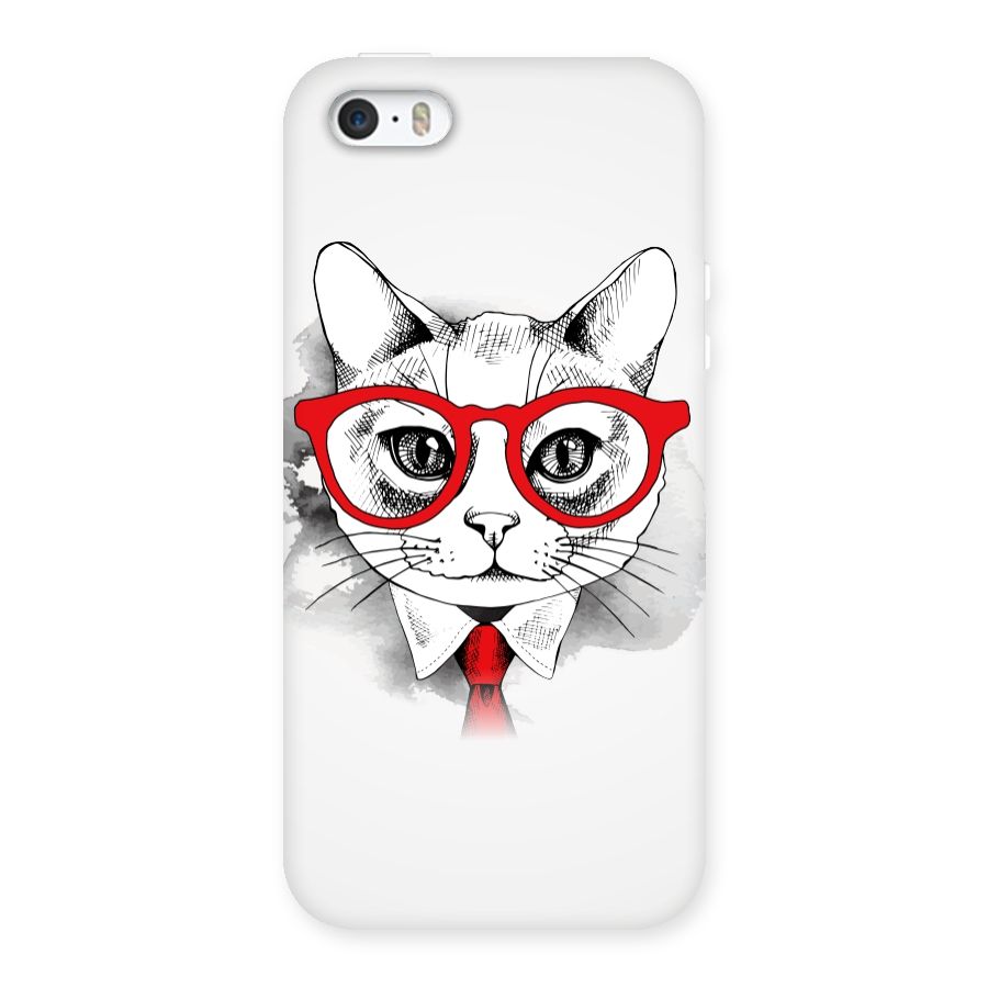 Business Cat Back Case for iPhone 5 5S