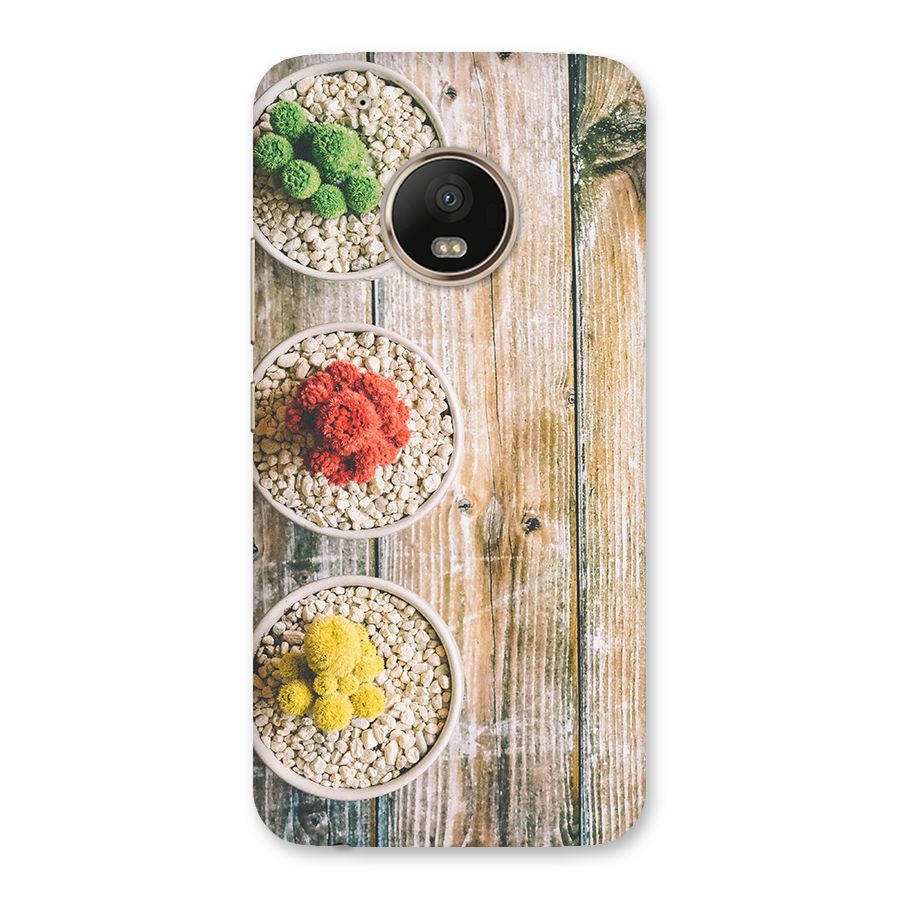 Cacti Decor Back Case for Moto G5 Plus